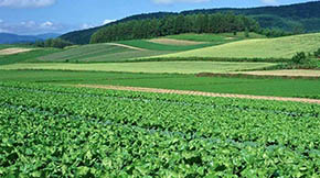 改善土壤結構 減少面源污染 今年遼寧省有機肥施用量將超過2000萬噸