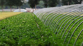 推動“糞污”變“糞肥”!促進(jìn)有機(jī)肥科學(xué)合理施用!