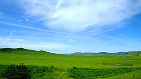 生物有機肥的發展現狀及展望