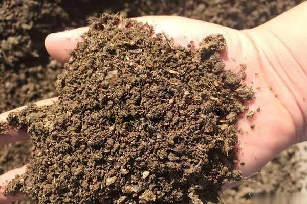 發展復合微生物肥料,是今后的發展趨勢