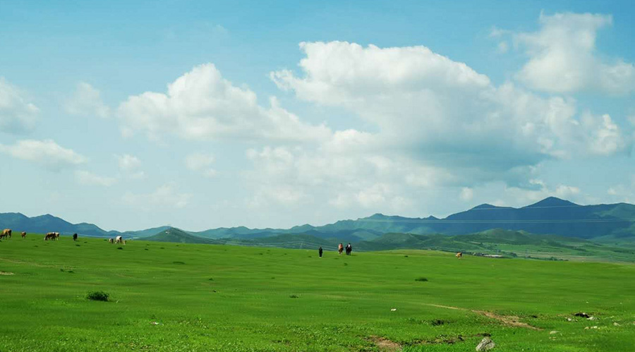 山西省“科學施肥”技術將覆蓋90%以上
