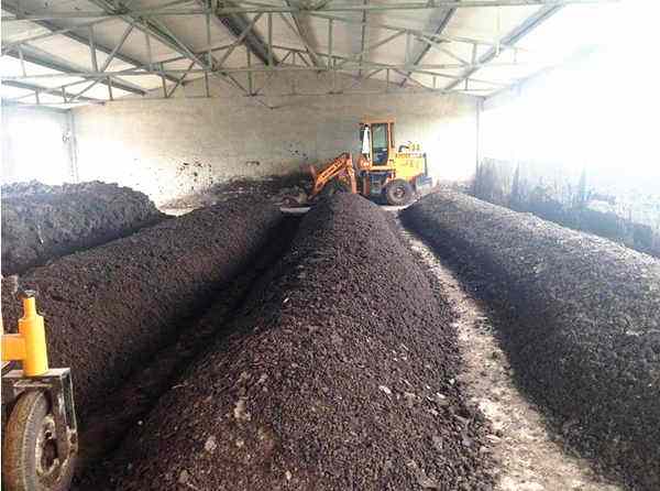 欽州推進養殖糞污治理與利用促進畜牧業健康發展