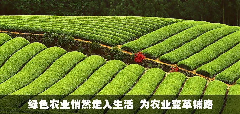 有機(jī)肥的“十四問”!