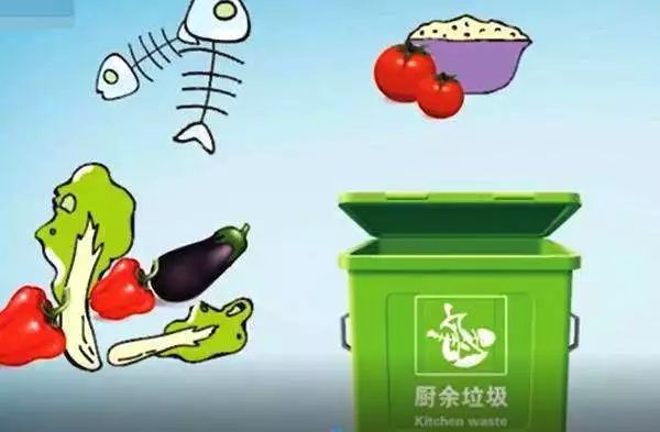 餐廚垃圾變廢為寶,實(shí)施案例