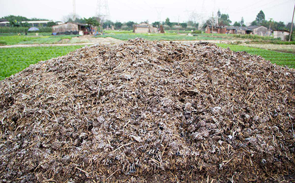 “畜禽糞污+秸稈”堆漚變肥料的資源化利用